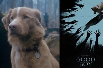 Good Boy