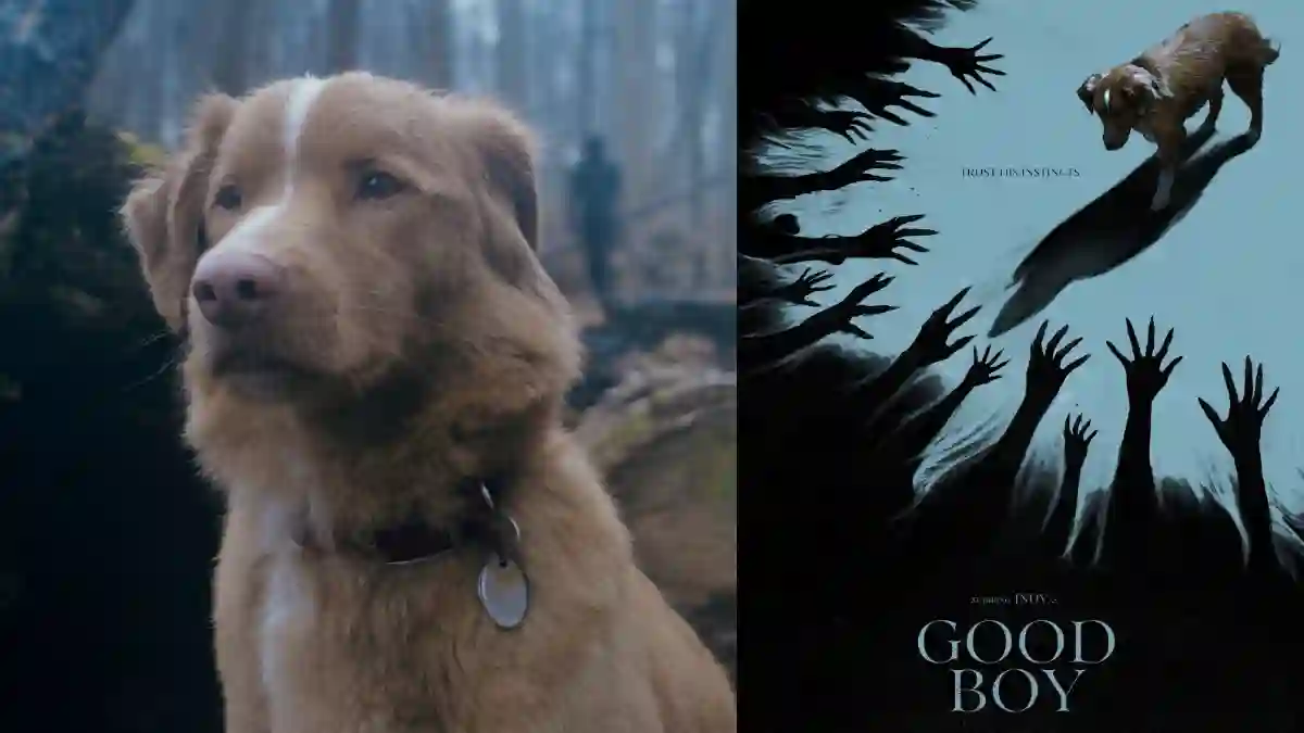 Good Boy (2025): Release Date, Cast, Story, Trailer & The Viral Question – Does the Dog Die in Good Boy? 3 Good Boy 2025 horror movie poster – dog surrounded by shadows