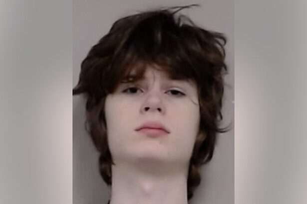 Alexandros Paporakis, 19, charged over an alleged plot that may have targeted a Hindu temple near Aurora, Illinois
